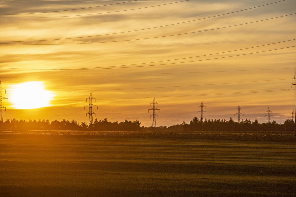 Photograph by Игорь Сапронов