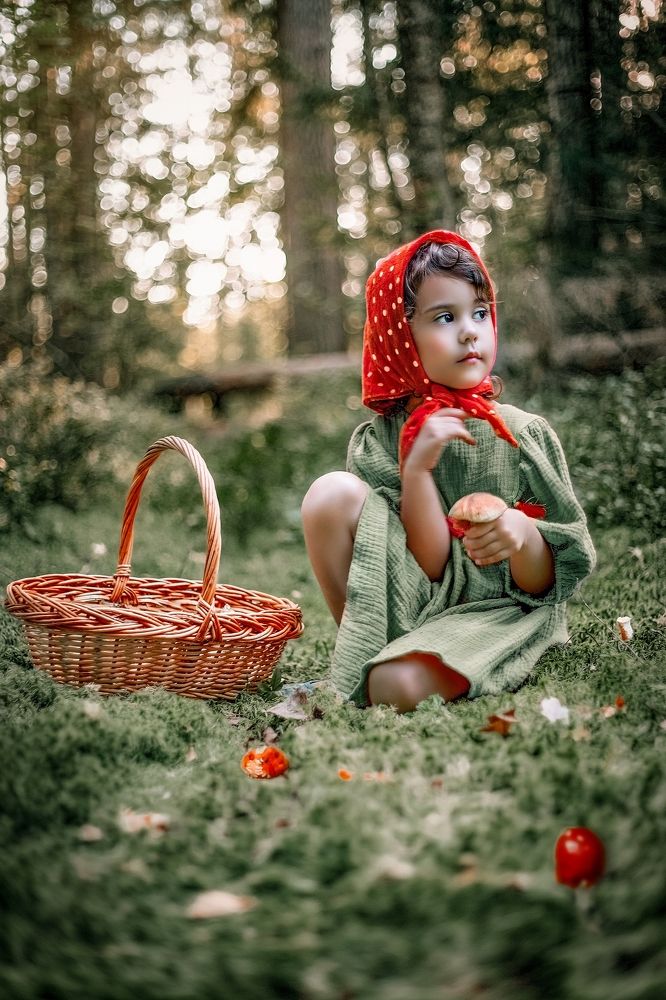 Грибная пора