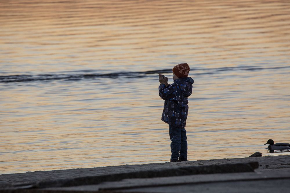 Photograph by Игорь Сапронов