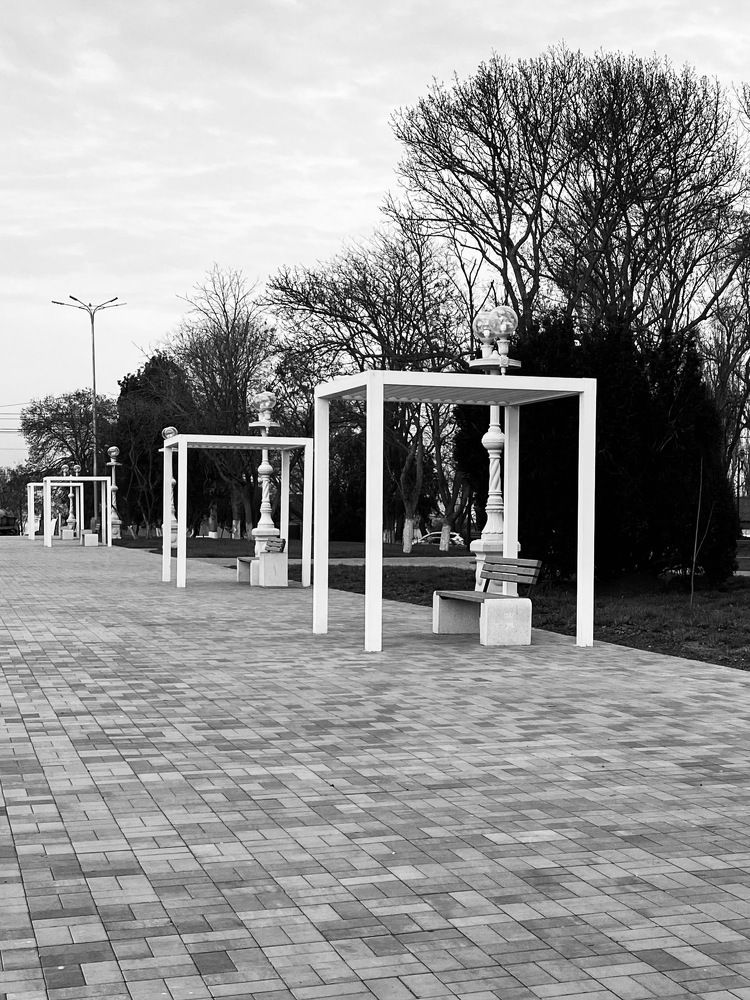 Photograph by Anastasiia