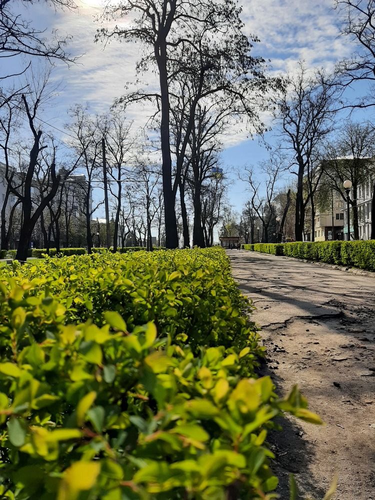 Фотография автора Виктория Мешкова