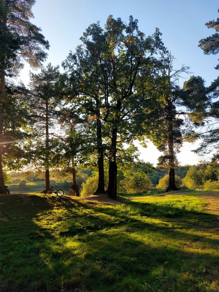 Photograph by Татьяна