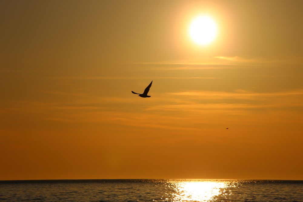 Photograph by Дарья Александровна Емельянова