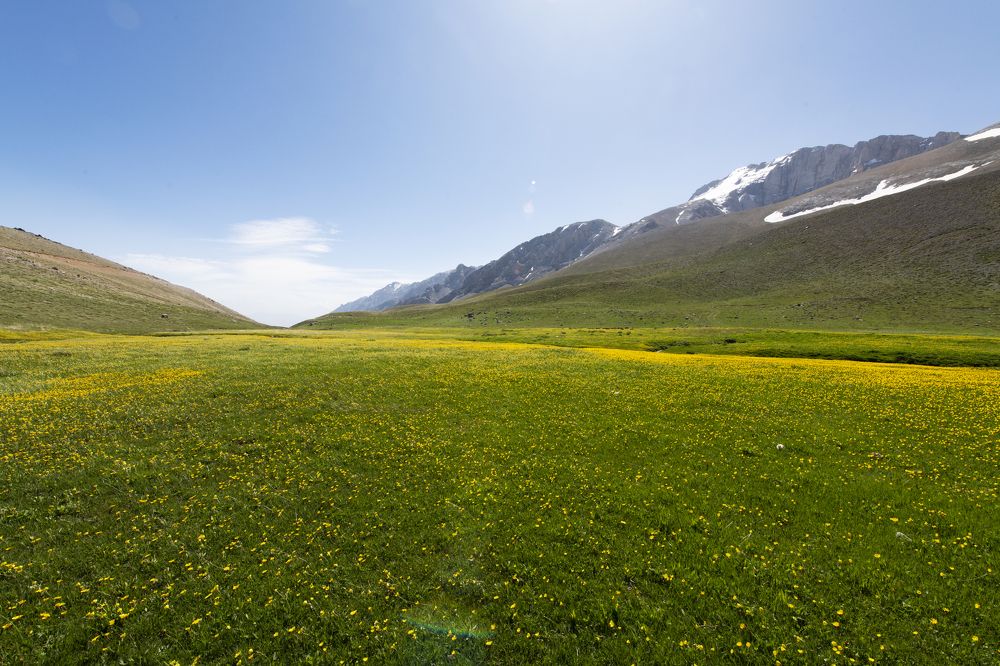 Photograph by Ömür Yaşar