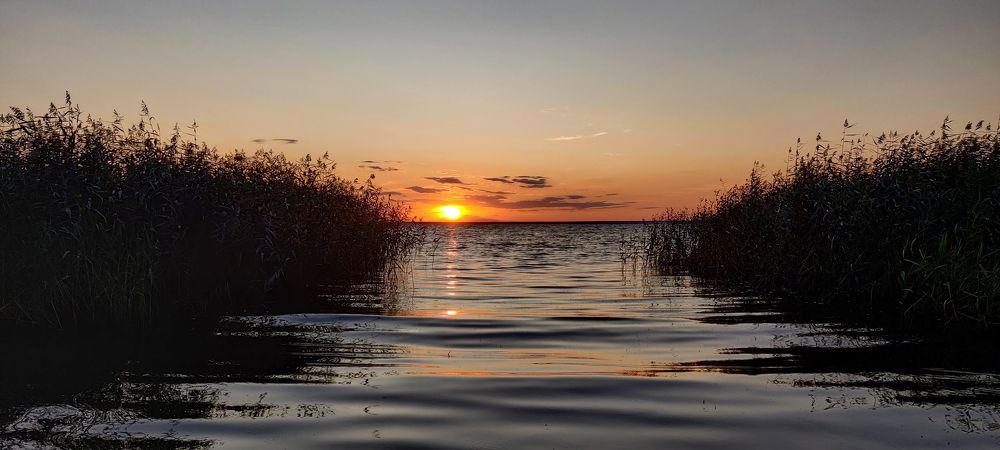 Фотография автора Ирина Черненко