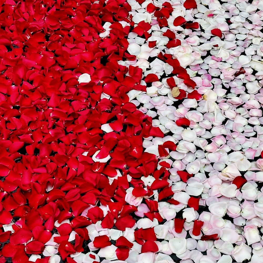 Photograph by victoria denisova