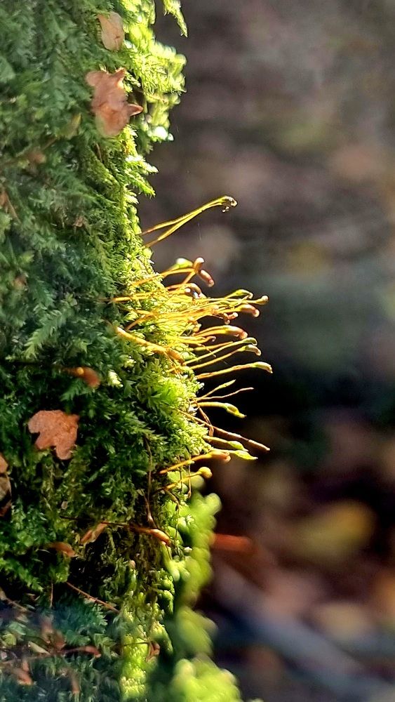 Photograph by Marie G