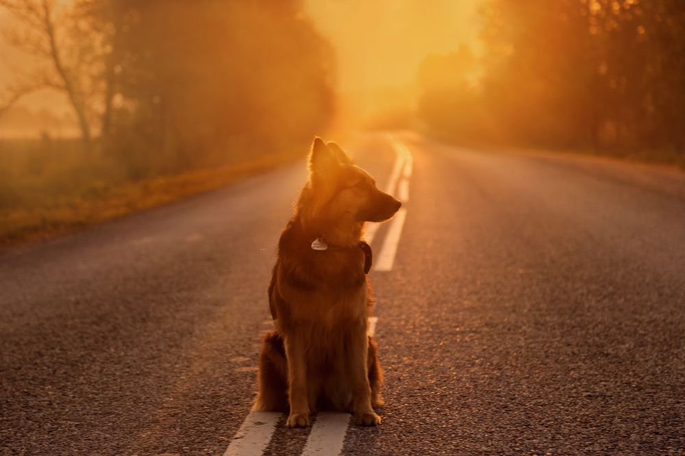 Photograph by Юлия Михайлова