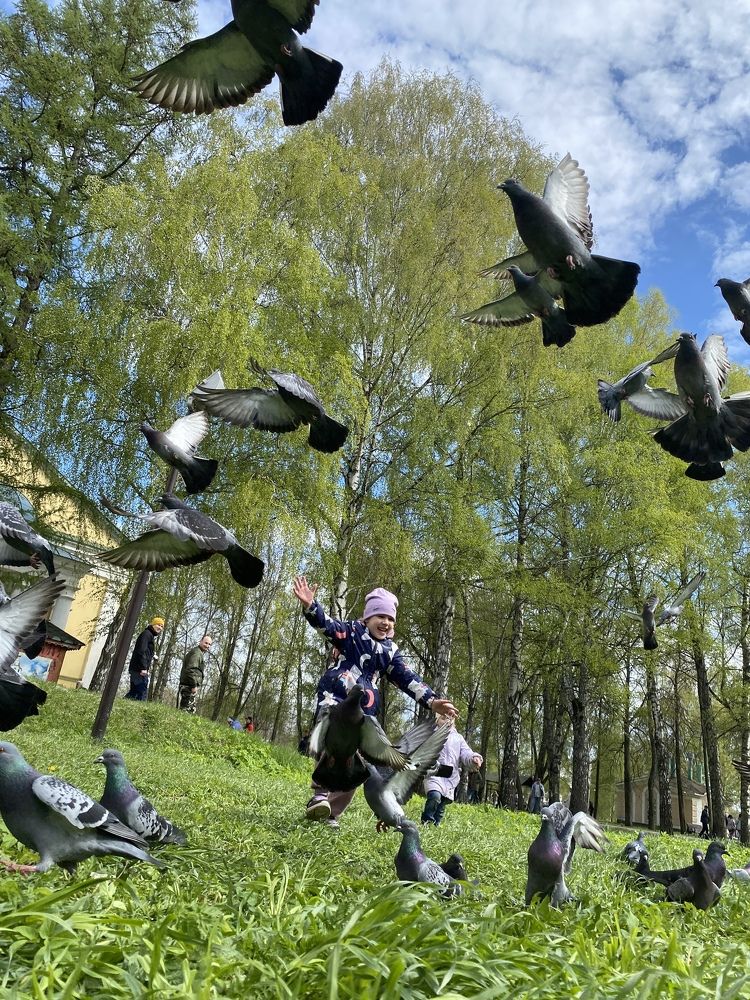 Photograph by Марина Рукавичко