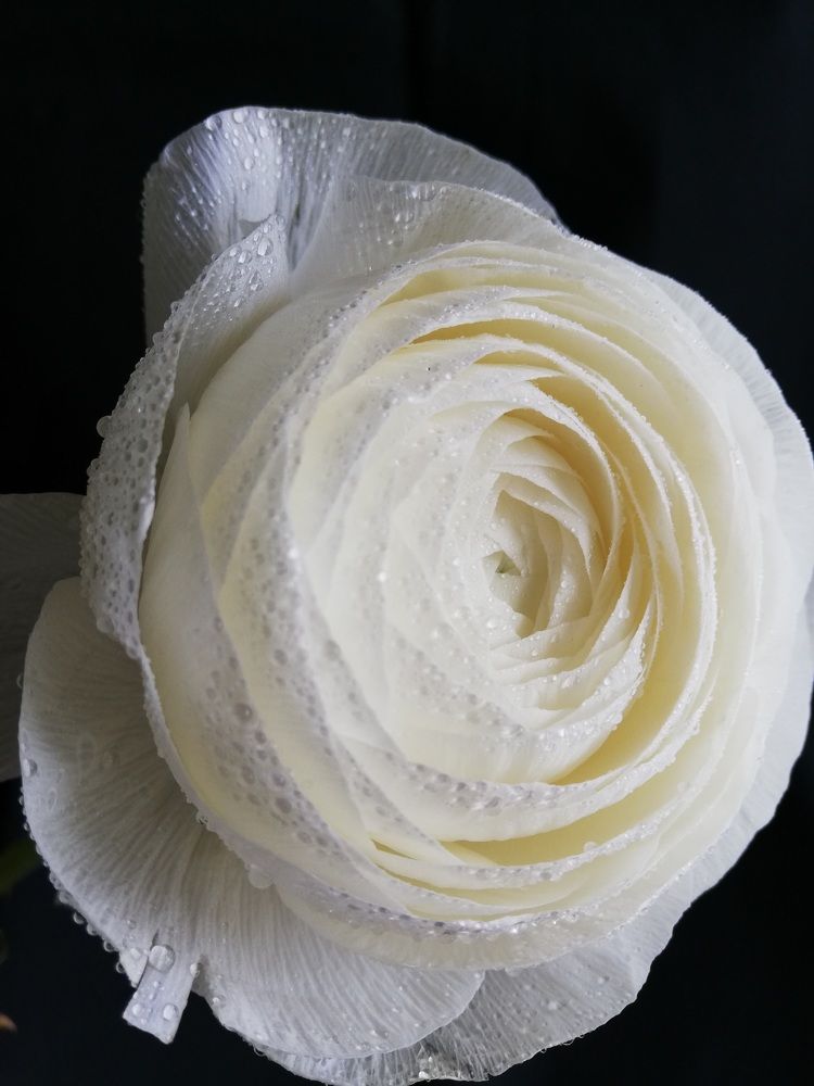 Photograph by Татьяна Смирнова