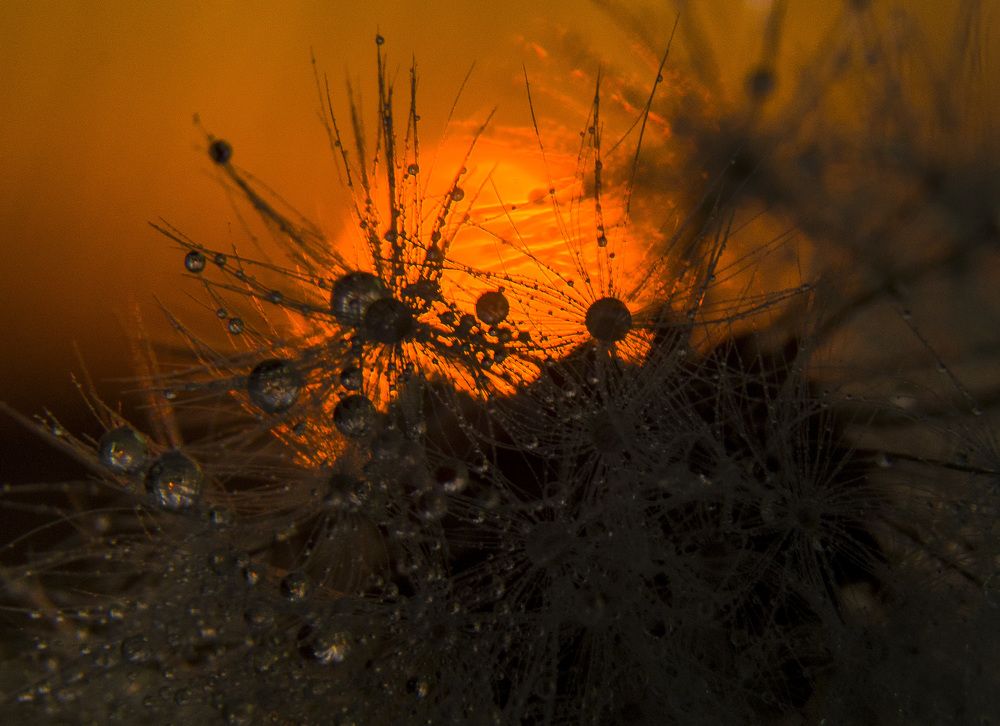 Photograph by Татьяна Титова