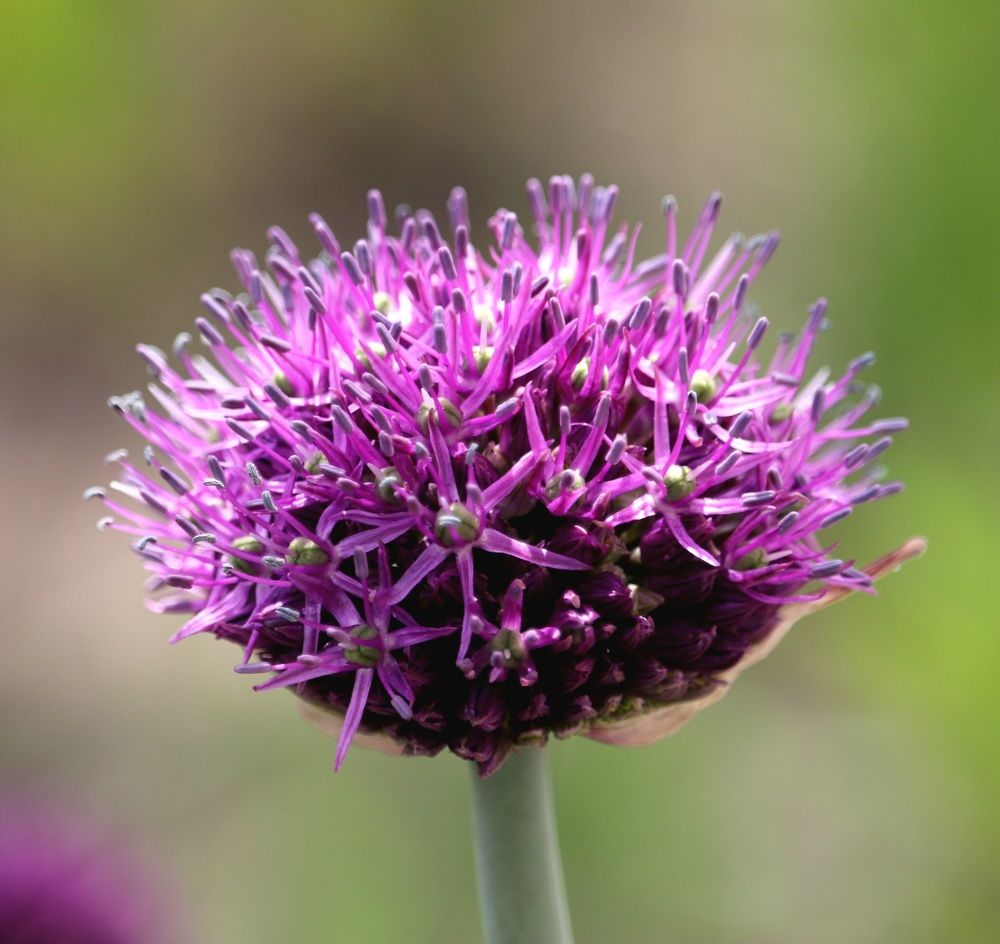 Photograph by Алексейчик Дмитрий