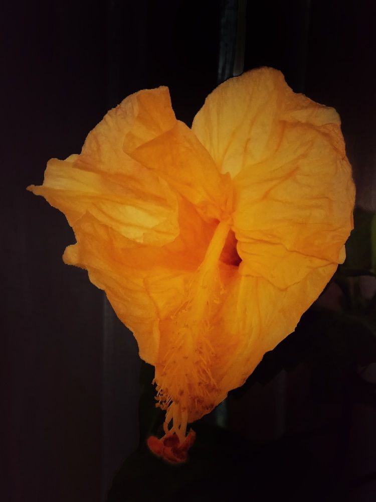 Photograph by Татьяна Смирнова