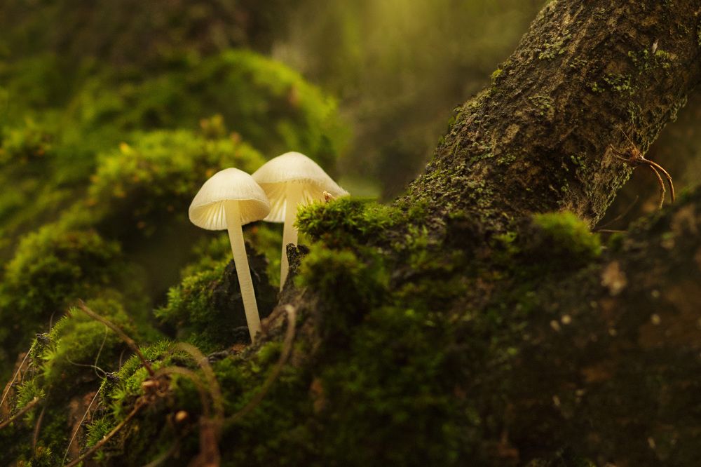 Photograph by Анна Селезнева