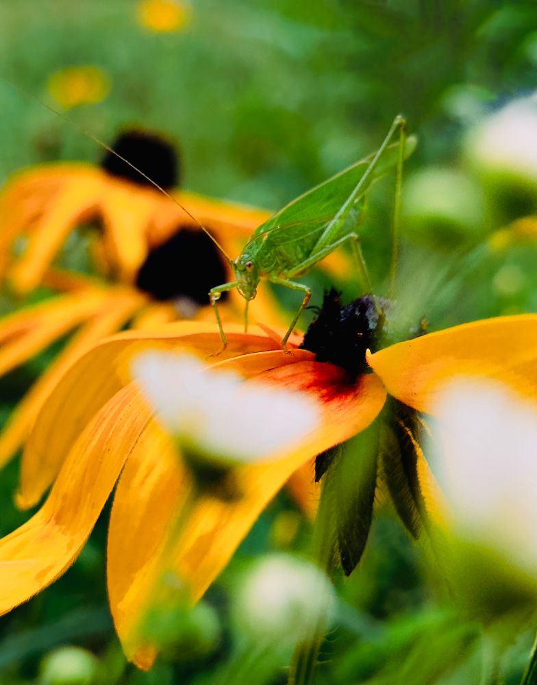 Photograph by Никита Петров