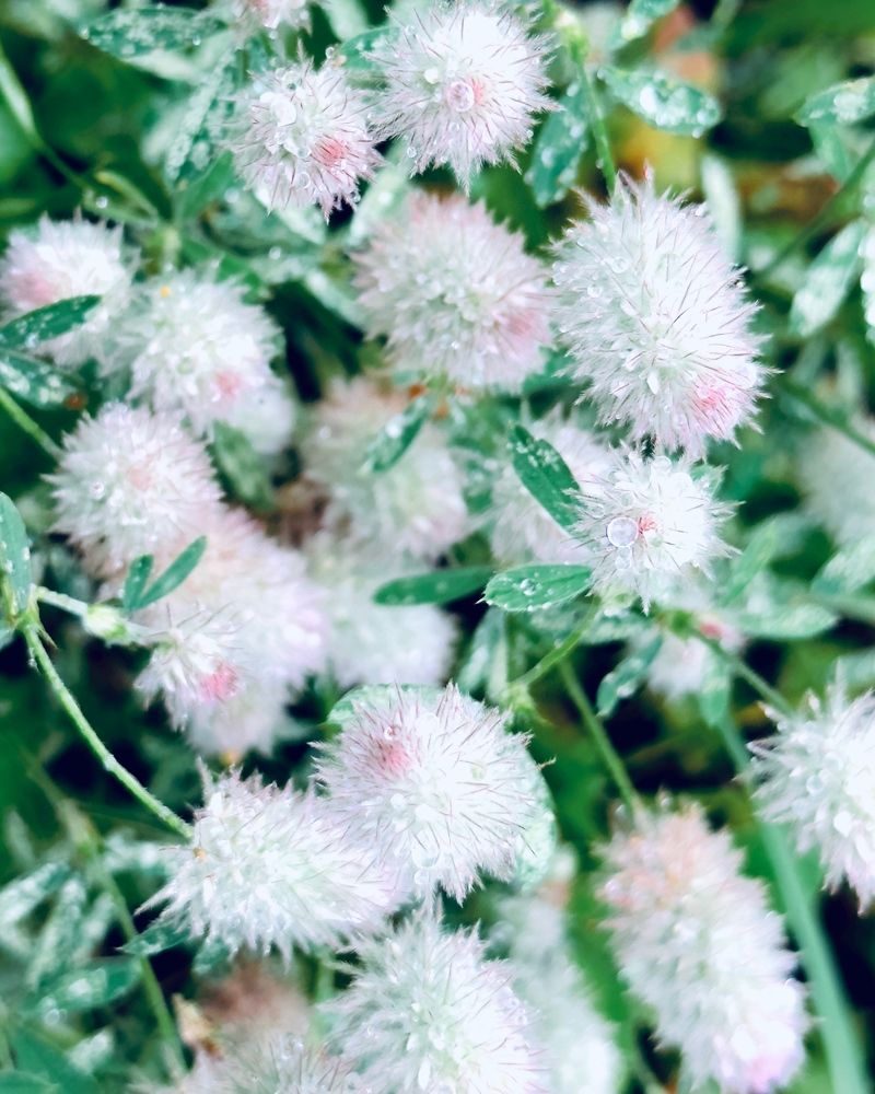 Photograph by Никита Петров