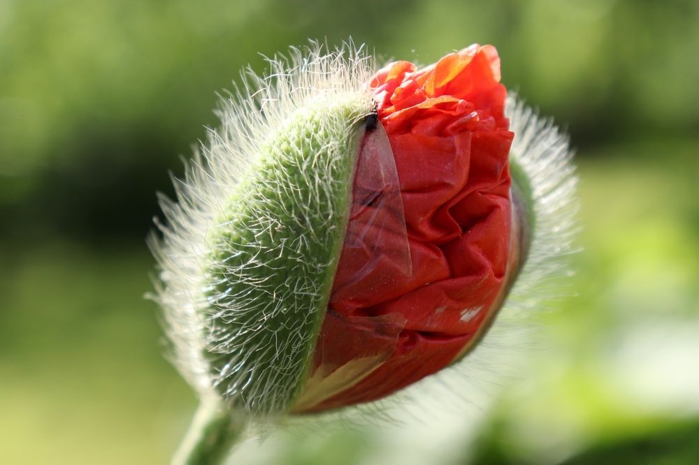 Photograph by Алексейчик Дмитрий