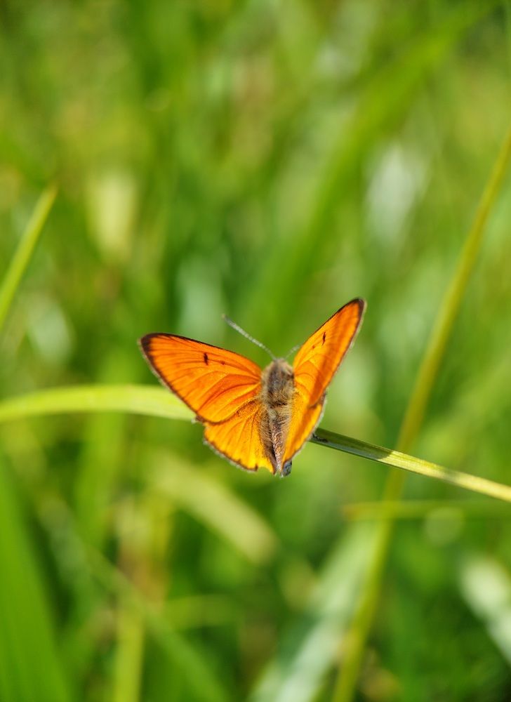 Photograph by Данила Черезов