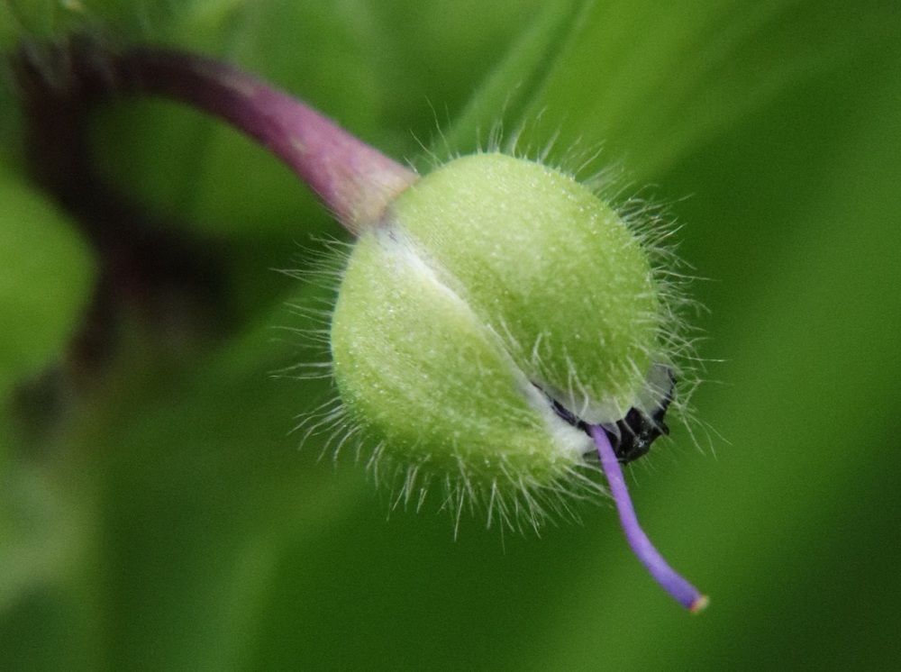 Photograph by Алексейчик Дмитрий