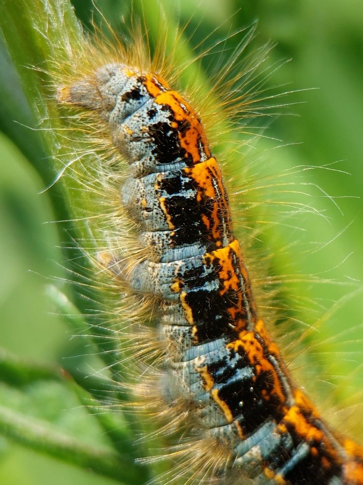 Photograph by Данила Черезов