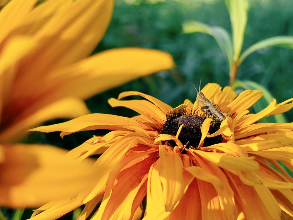 Photograph by Никита Петров