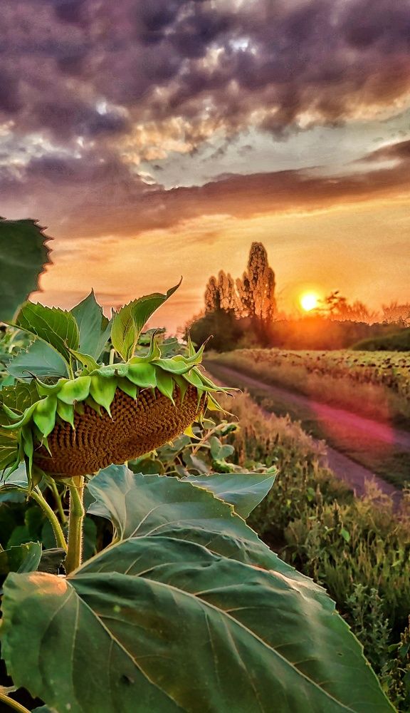 Photograph by Наталья Исиченко