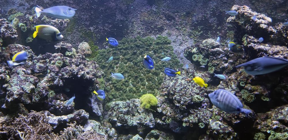 Фотография автора Александр