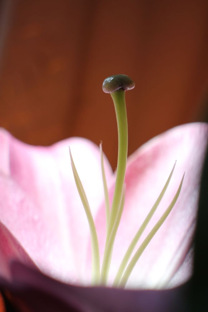 Photograph by Nadzeya