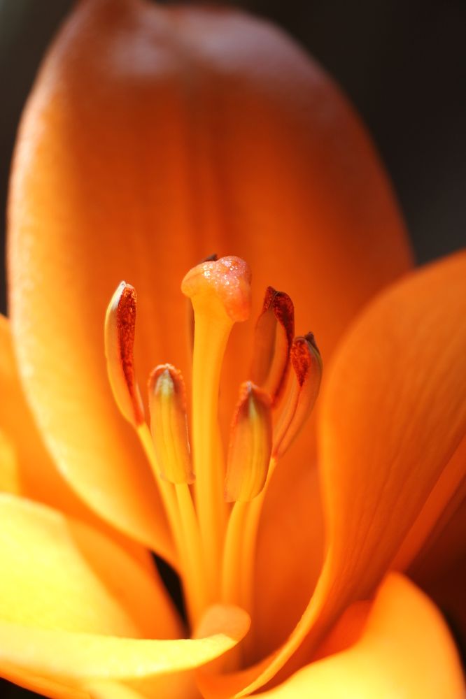 Photograph by Nadzeya