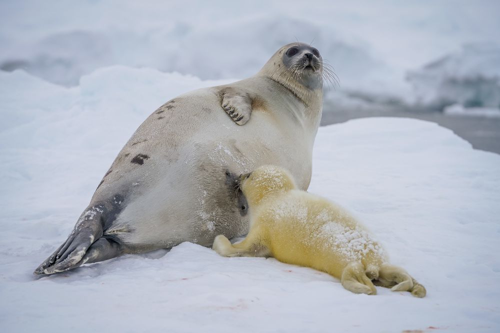 Photograph by Илья Труханов
