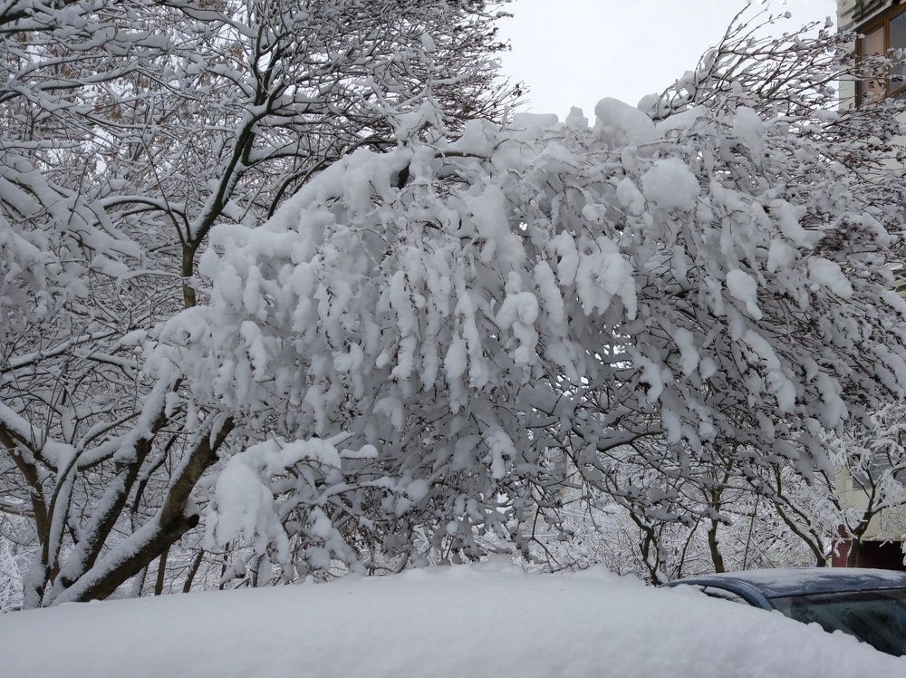 Фотография автора Мария Капатурина
