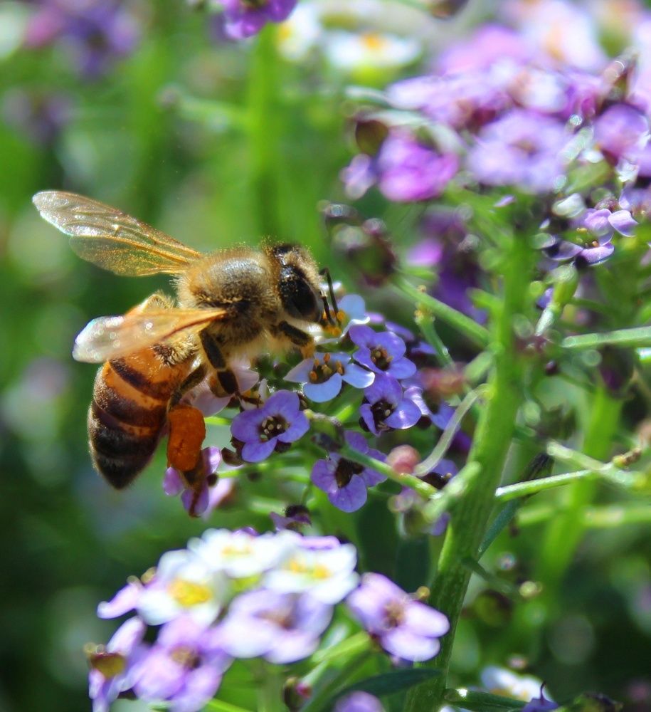 Photograph by Олеся