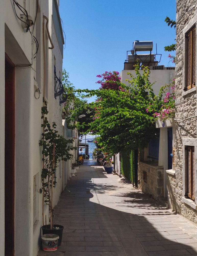 Photograph by Irina Kolotova