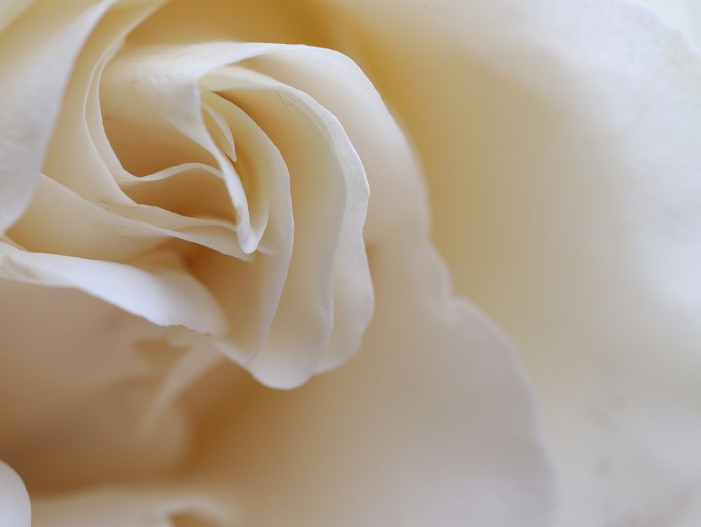 Photograph by Елена Тимченко