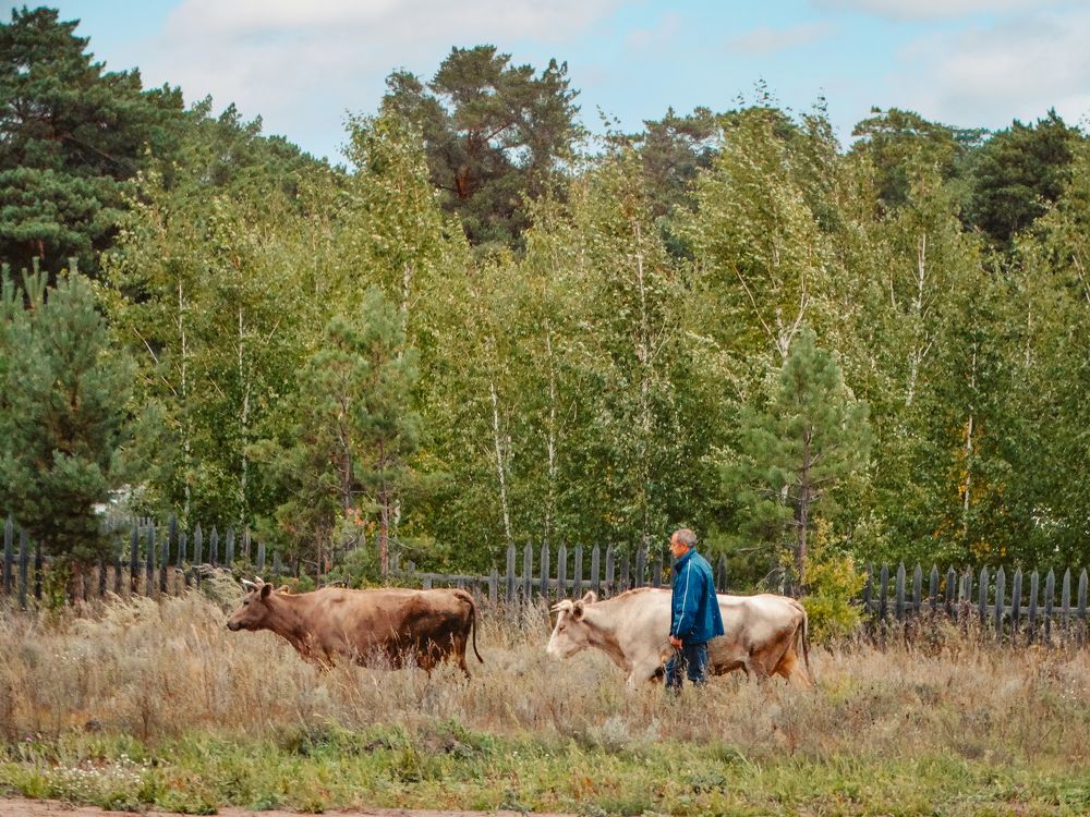 Photograph by Анжелика Трошина