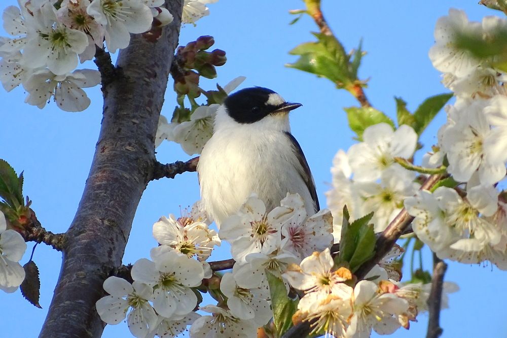 Photograph by Татьяна Калугина