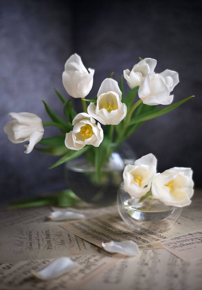 Photograph by Dana S.