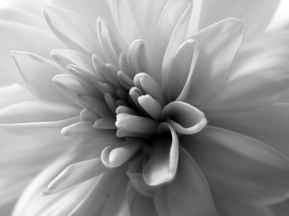 Photograph by Алексей Амилющенко