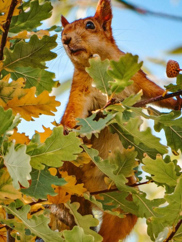 Photograph by Анжелика Трошина