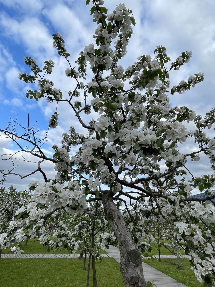 Photograph by Юлия Давшан