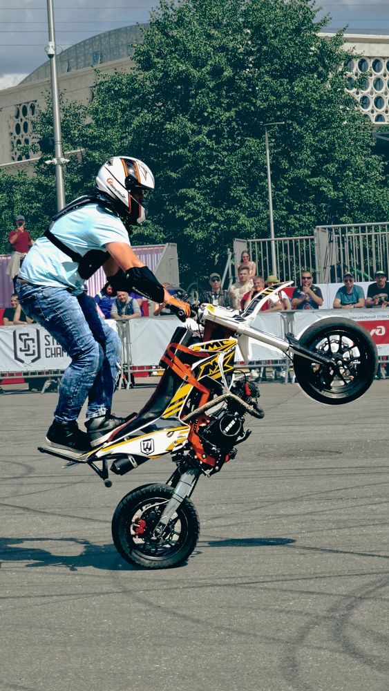 Фотография автора Всеволод Юрша