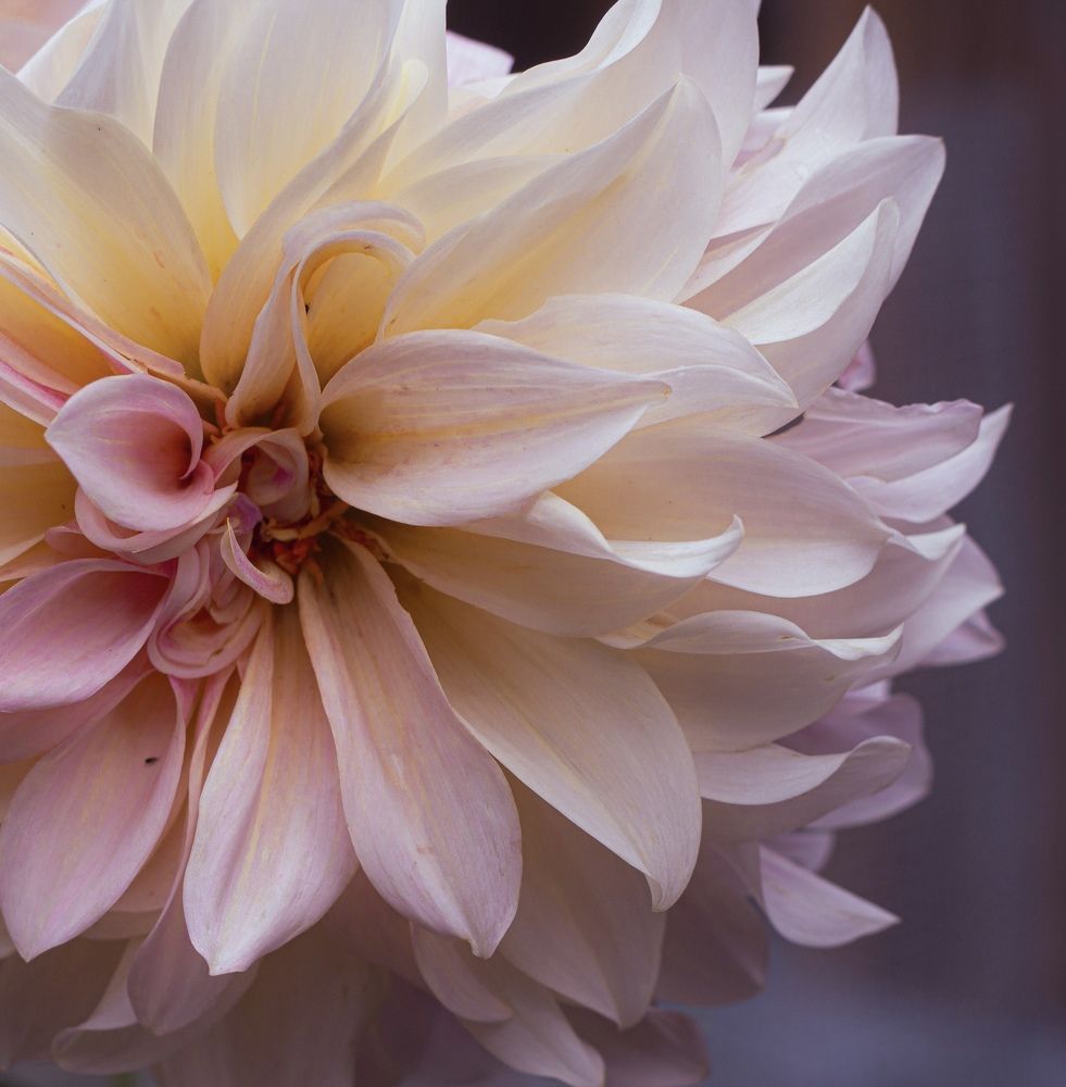 Photograph by Natalia Salivon