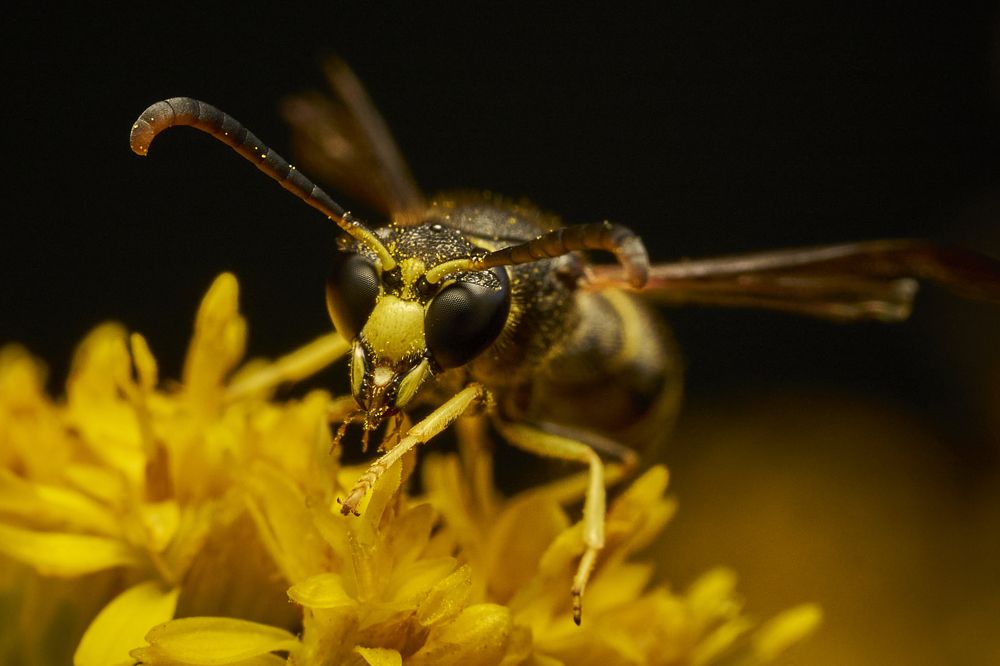 Photograph by Руфат Лажанский