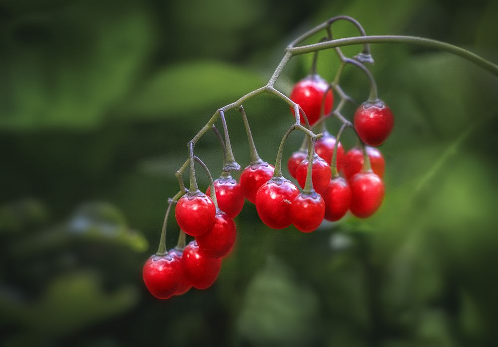 Photograph by Сергей Здерев