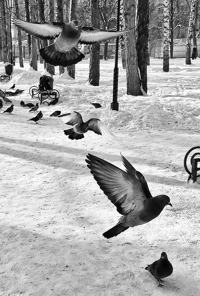 Photograph by Ольга Мартьянова