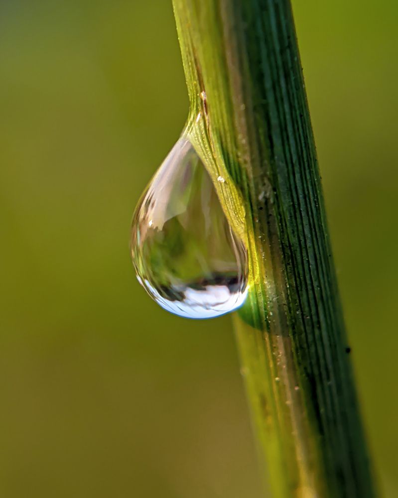 Photograph by Muhammed Nizam