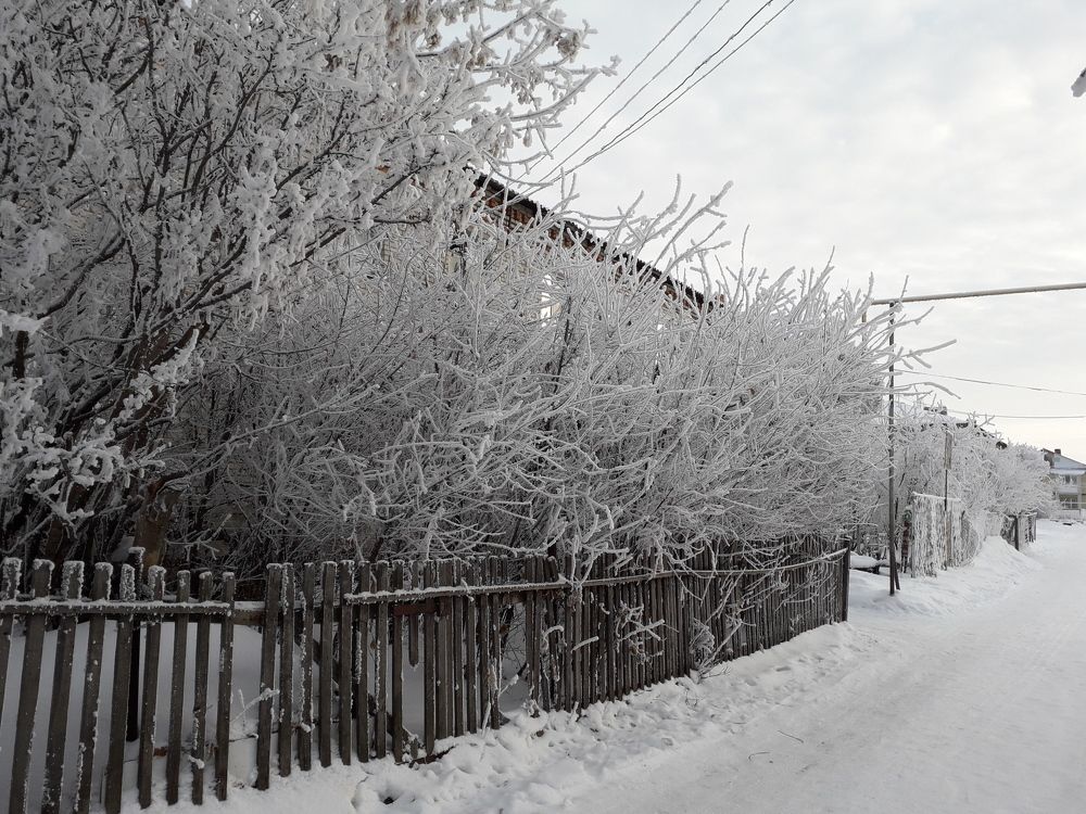 Photograph by Бутовец Алёна