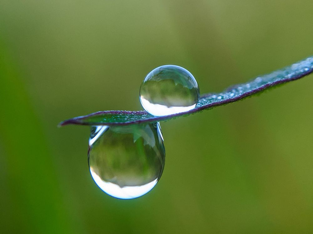 Photograph by Muhammed Nizam