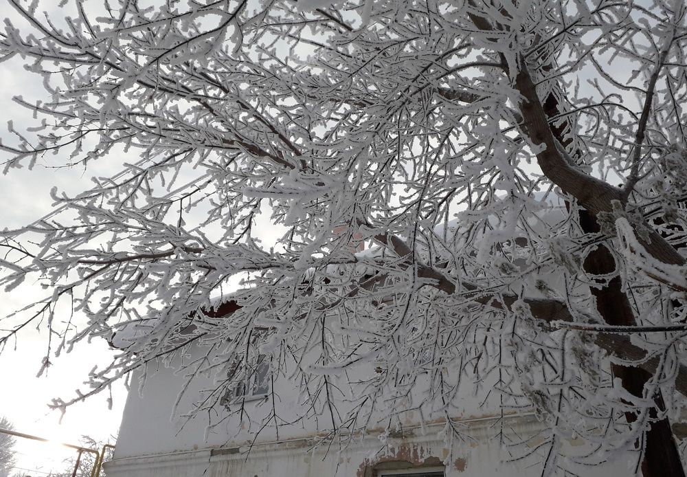 Photograph by Бутовец Алёна