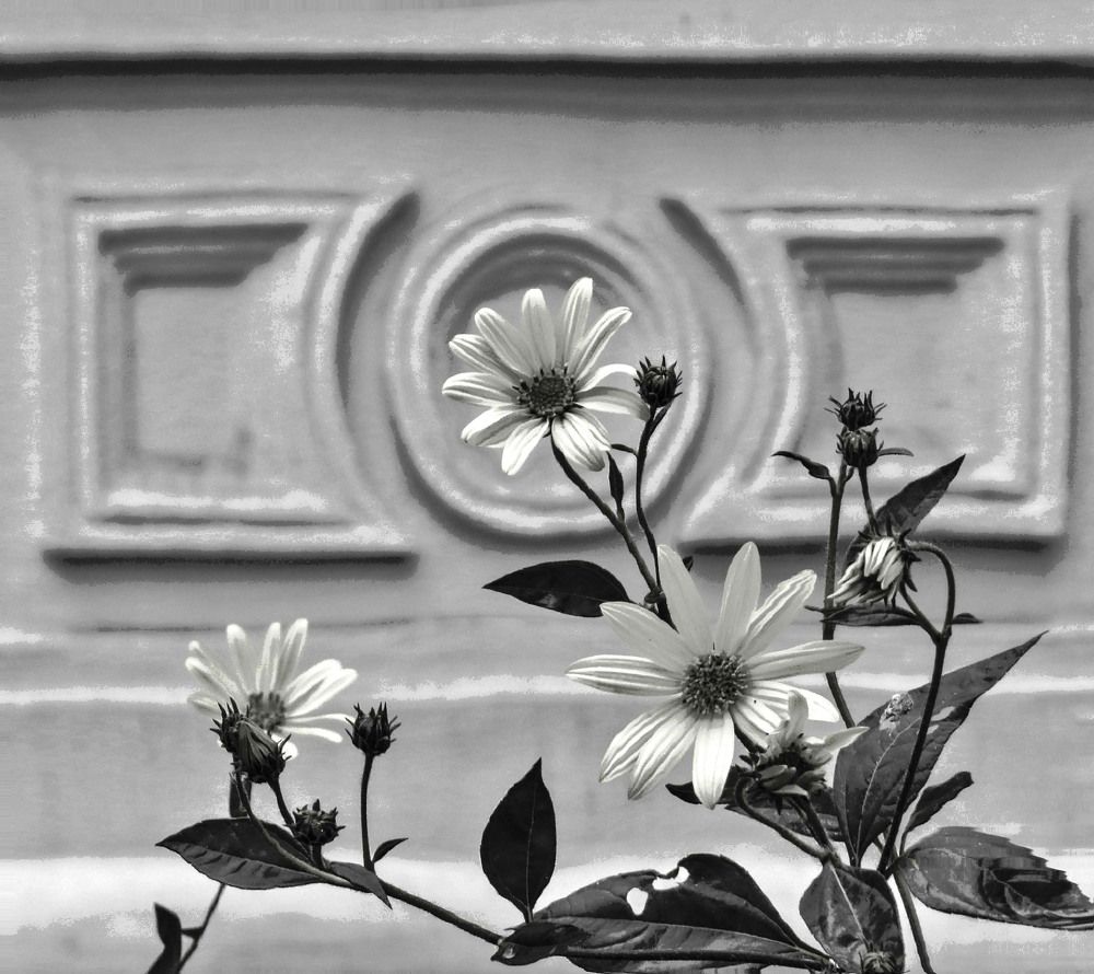 Photograph by Нина Будникова